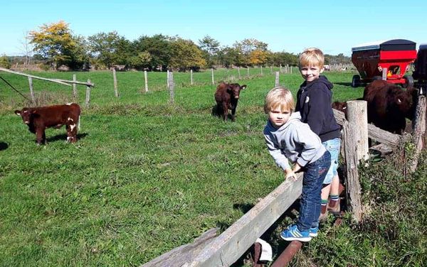 Ontario lagging the market for organic produce, say advocates