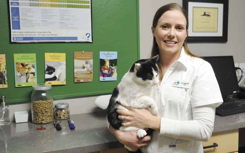 There’s no place like home when it comes to caring for pets