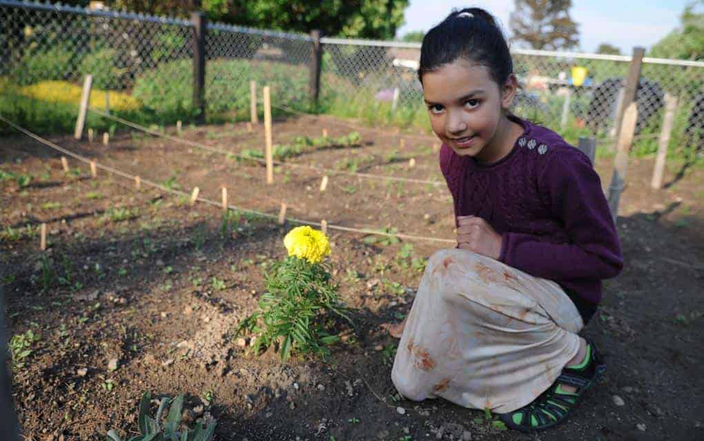 Horticultural society planting seeds with its Junior Garden Club