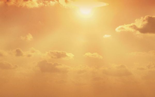 Letting the sun shine in on public sector salaries