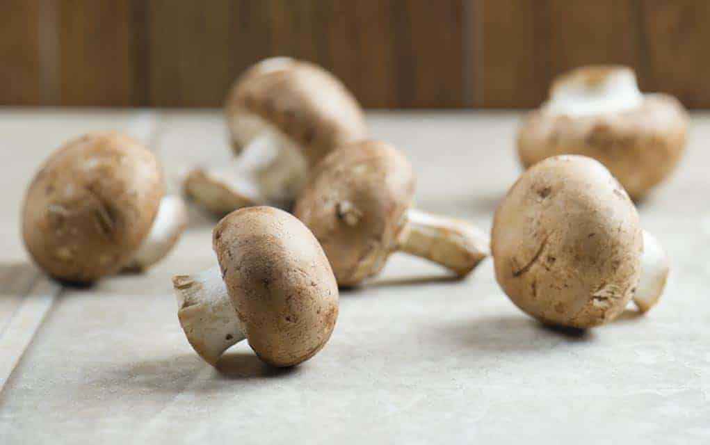 Spring encourages us to plant a few things