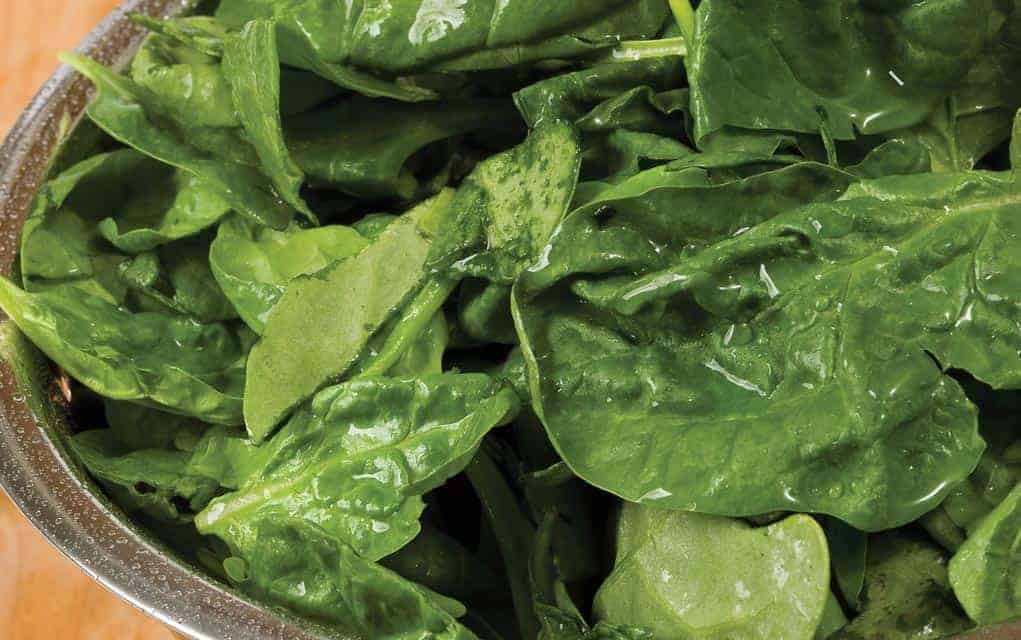 Going with some colour for spring