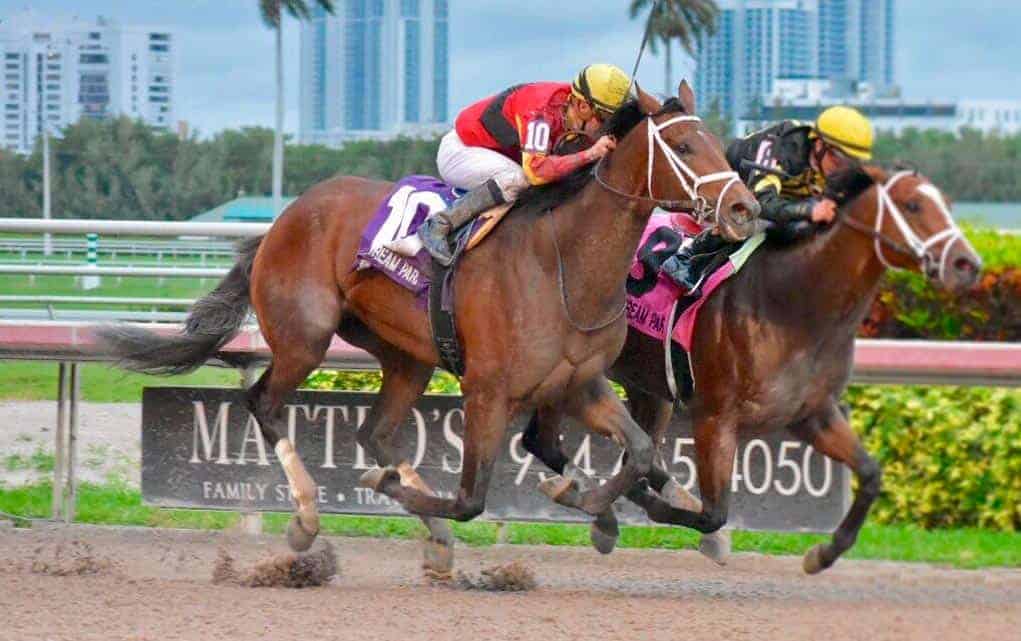 Excitement comes with taking in the Kentucky Derby from the owners’ box