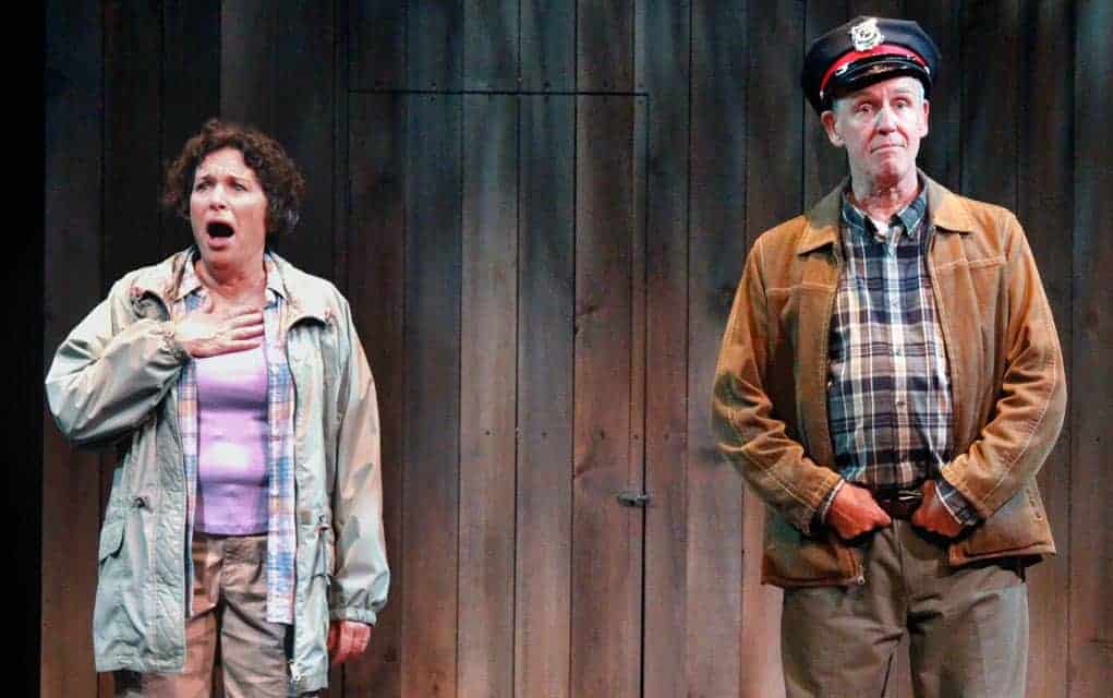 Retiring from the farm to the city, a couple finds everything isn’t as it appears in Drayton theatre’s production of Harvest