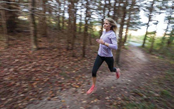 Volunteer group seeks Wellesley’s support in new trail bid