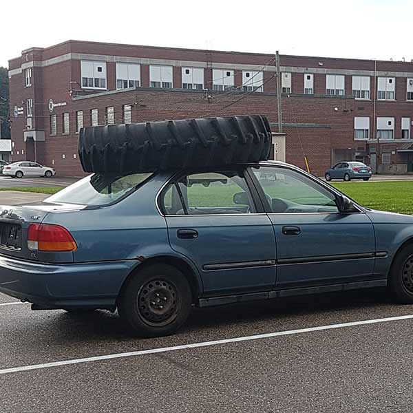 Photo Gallery: Out and About