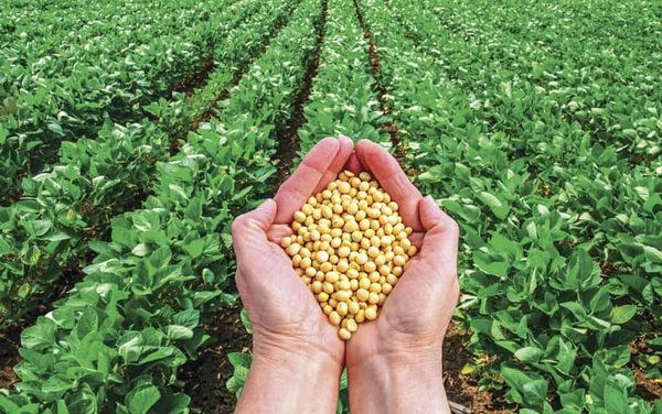 As we become increasingly removed from farm life, provincial program aims to bring lessons to school kids