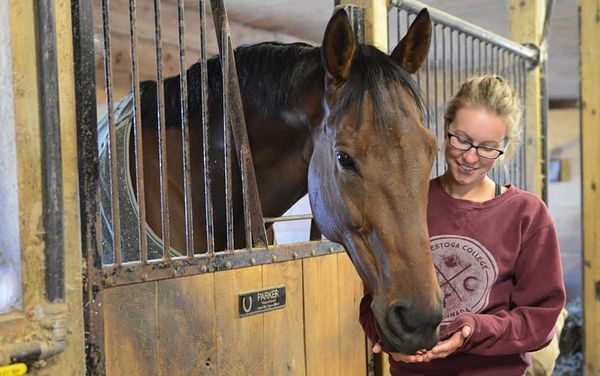 A chance to take a look around