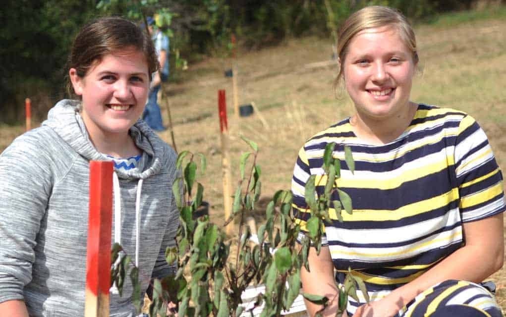 Trees for Woolwich reaches goal of 23,000