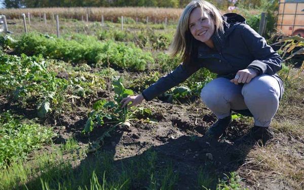 Last harvest of the season