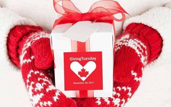 Black Friday begets Cyber Monday begets Giving Tuesday