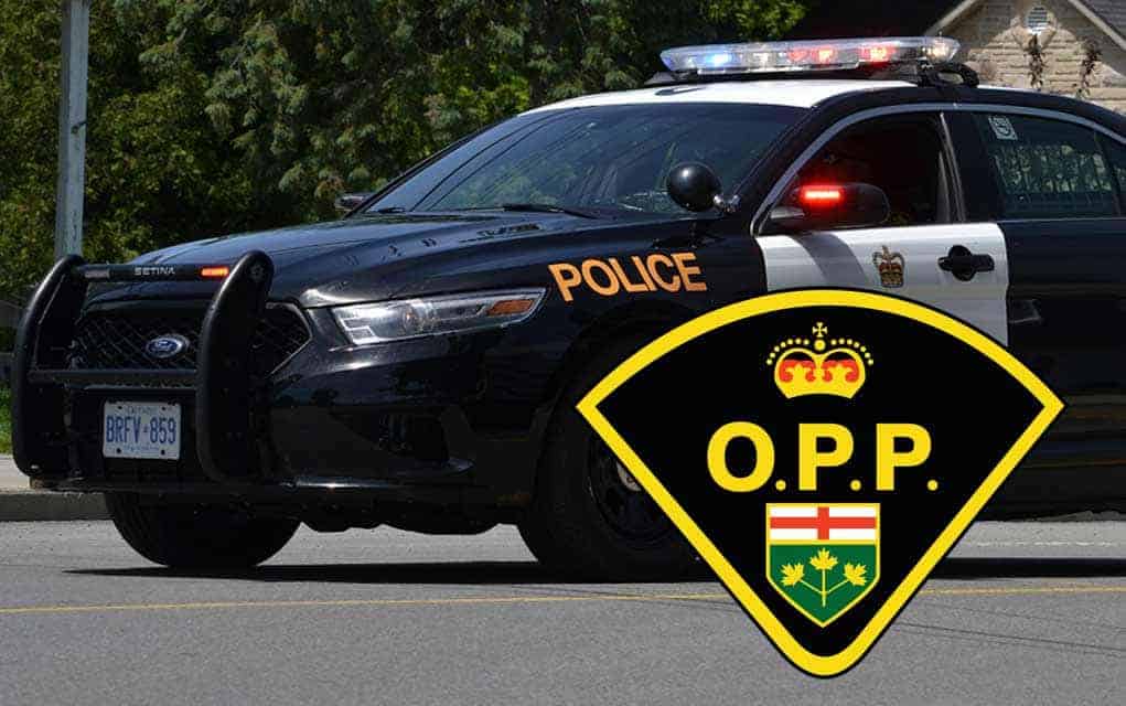 Police marking Crime Prevention Week in the province