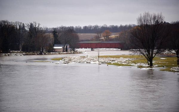 Traffic resumes on West Montrose bridge