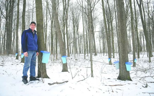 The sap festival is a sign of spring, but the weather has some catching up to do