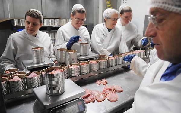 Plenty of volunteers for this meaty, hands-on activity