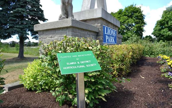 Horticultural society expands its youth offerings through Jr. program