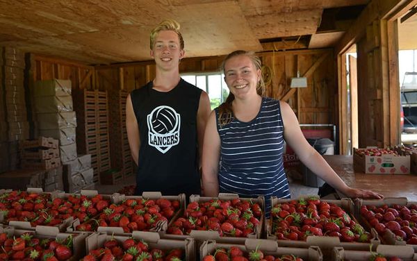 FMO program is a reality check for farm-to-table goods