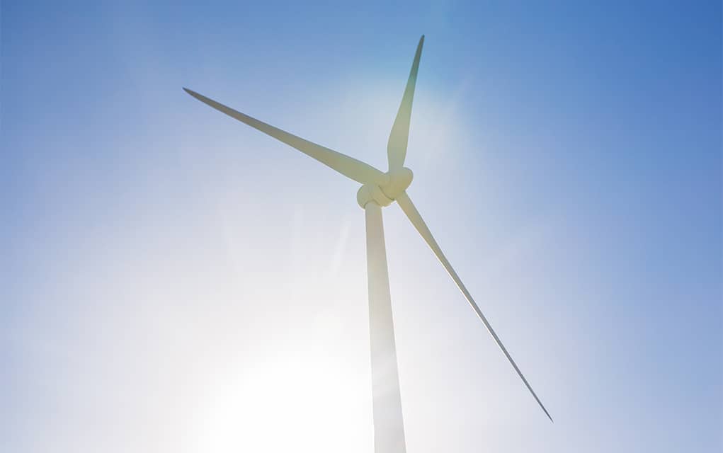 Province moves to cancel green energy contracts