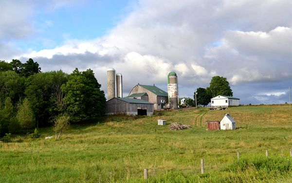 Group publishes guide for prospective new farmers