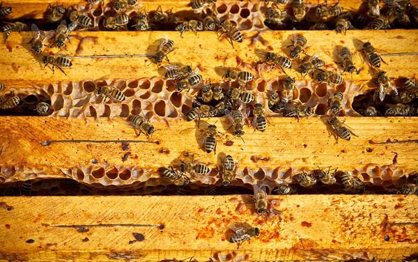 Reducing plastic for the back-to-school lunches