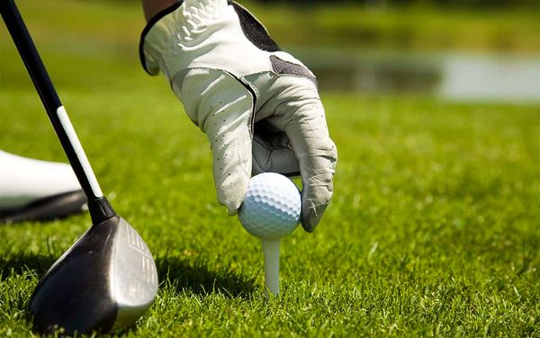 WCS hosts its fundraising Jeanne Renault Golf Classic Friday afternoon