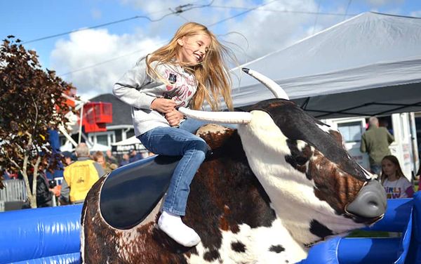 A fun time in wellesley, no bull!