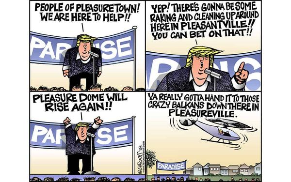 Leftcourtland: November 29th, 2018