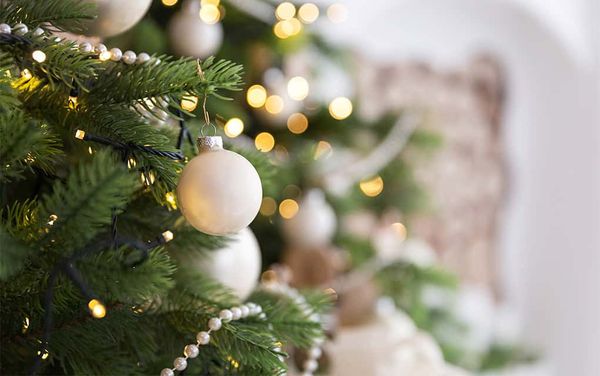 Tree of Lights set to shine Saturday in St. Clements