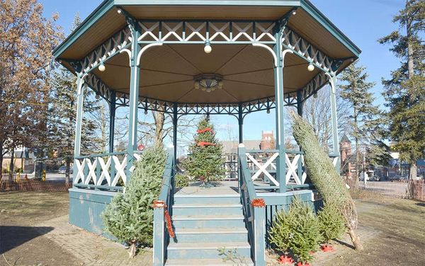 White Christmas unlikely, with a slightly milder winter ahead of us