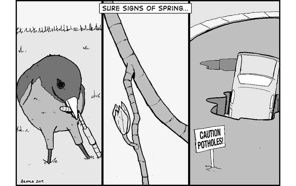 The View From Here: March 21st, 2019