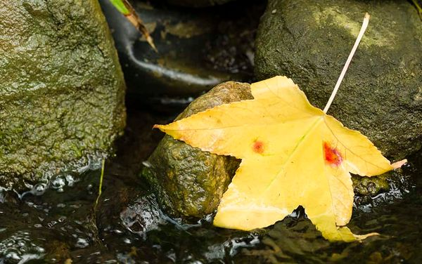 Watchdog group looks for quick action on hotspots