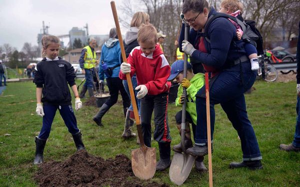 Increased plantings can help lower overall temperatures