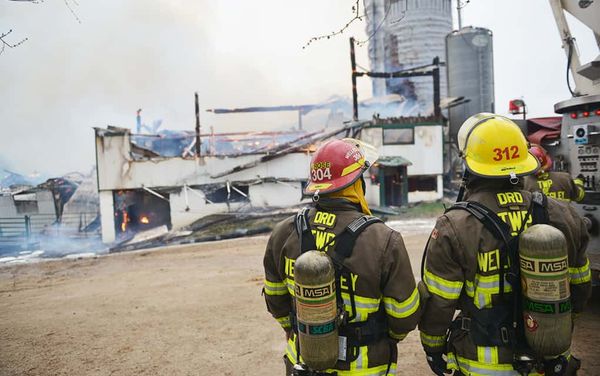 Some 450 animals perish in fire