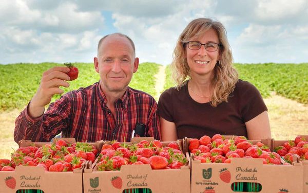 A berry good season?