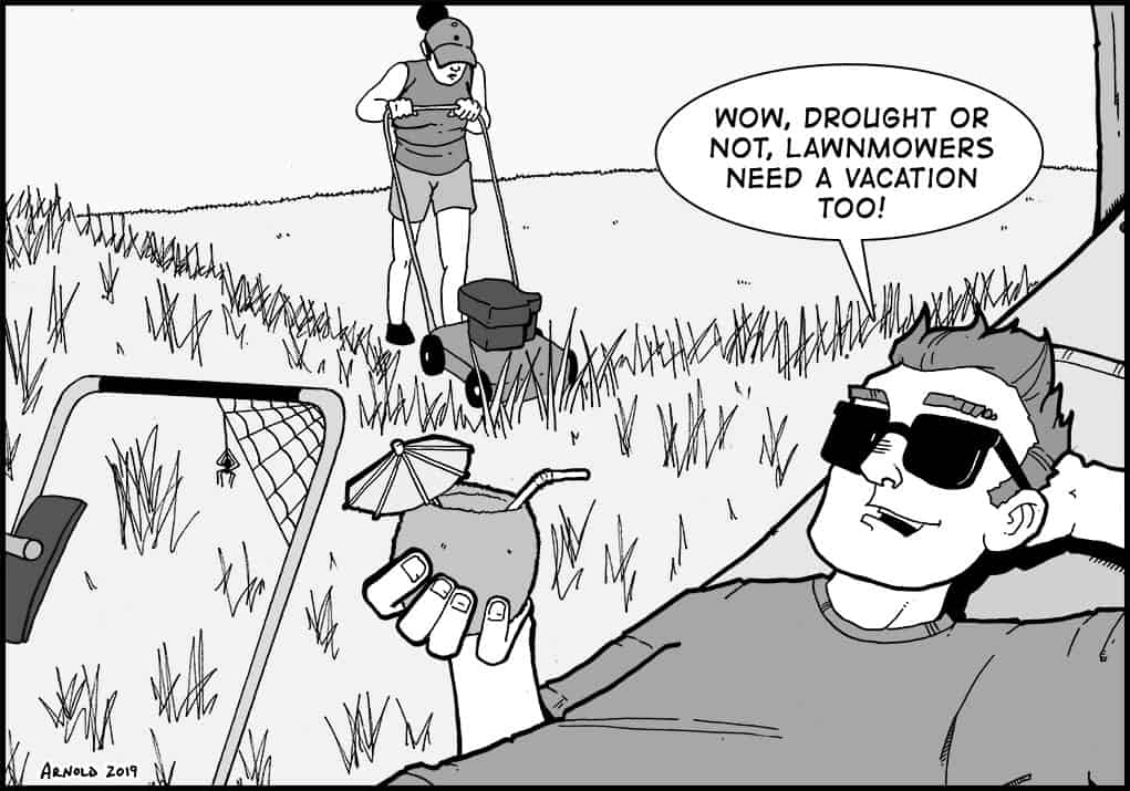 View From Here – July 18, 2019