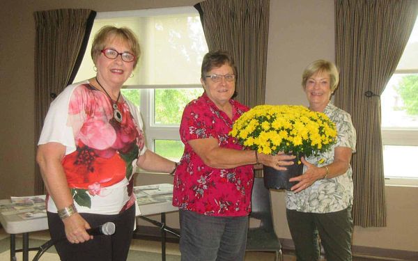 New Horizons talks about your happy pills