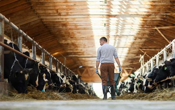 Things go to waste, but proper disposal is key