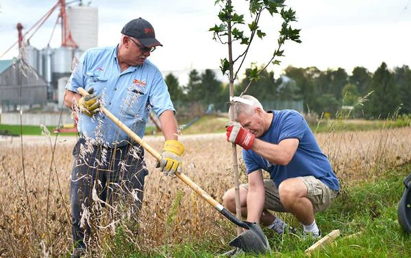 Lions mark 100 years with tree-planting blitz
