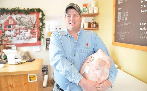 Turkeys take center stage at Christmas