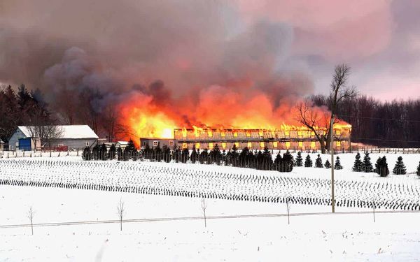 Chicken barn destroyed by fire Thursday morning