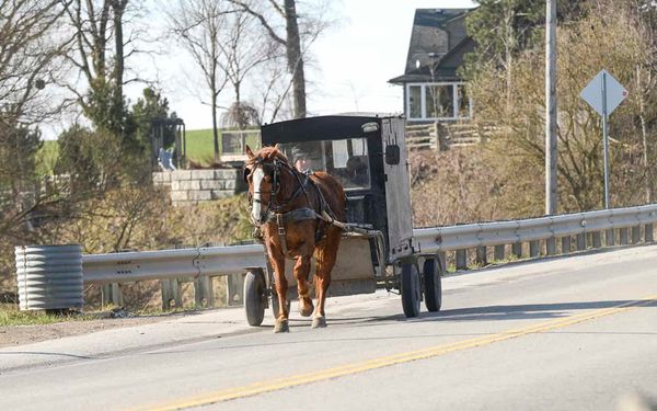 Information is key during COVID-19 crisis