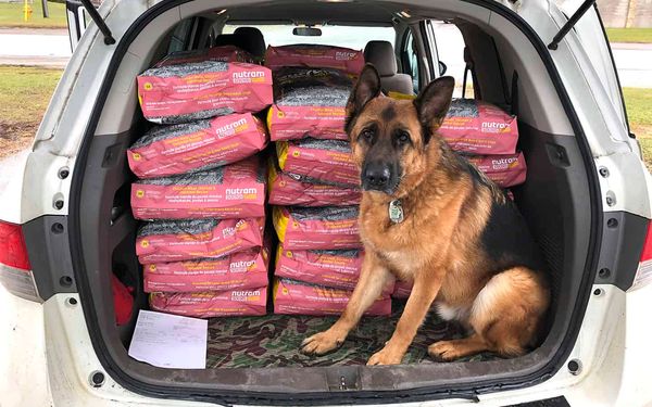 Elmira-based pet food company launches contest in support of animal shelters