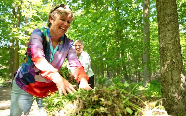 Volunteers take on battle against weeds in Elmira woodlot