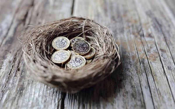 Relocated bird nest adds to cost overages on road project