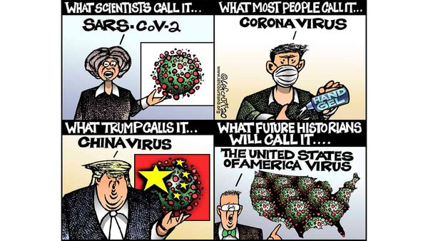 Lefcourtland: August 20th, 2020