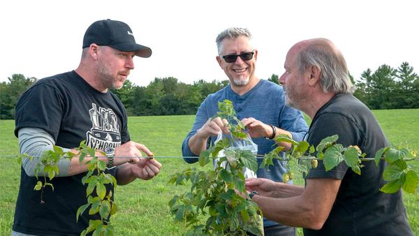 Hobbyists with an eye on a bigger future