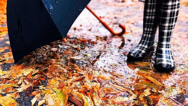 Autumn to be mild, at least to start with