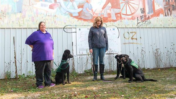 Floradale Friends of Dog Guides to hold fundraising online auction