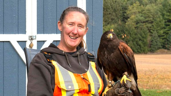 Plenty of stories of pets in the workplace