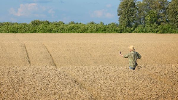 Moving at the speed of the internet